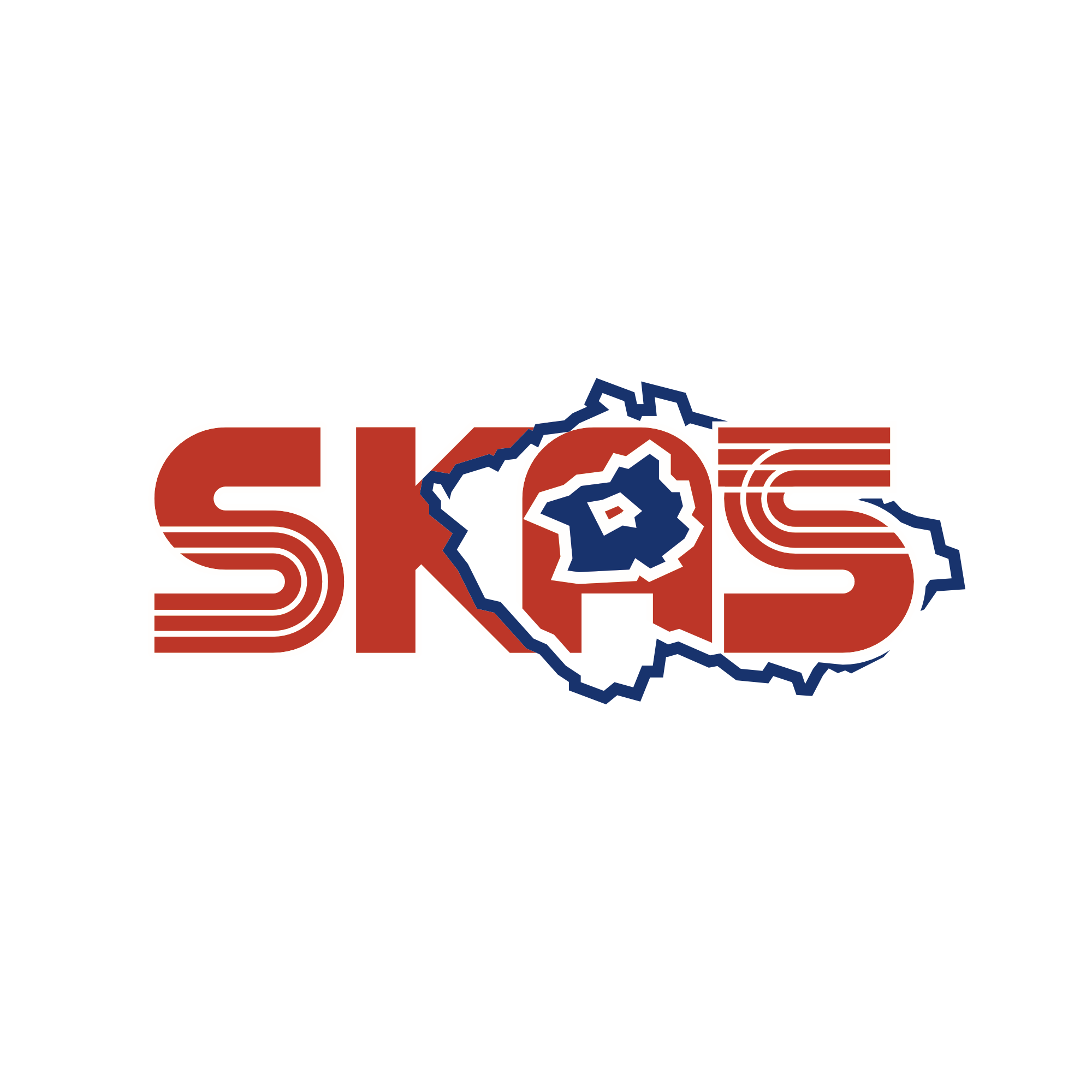 SKAS-logo-lightBG